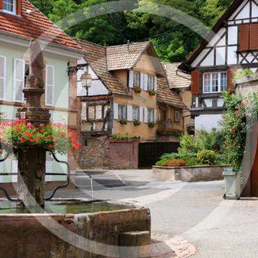 Courtyard Landscape