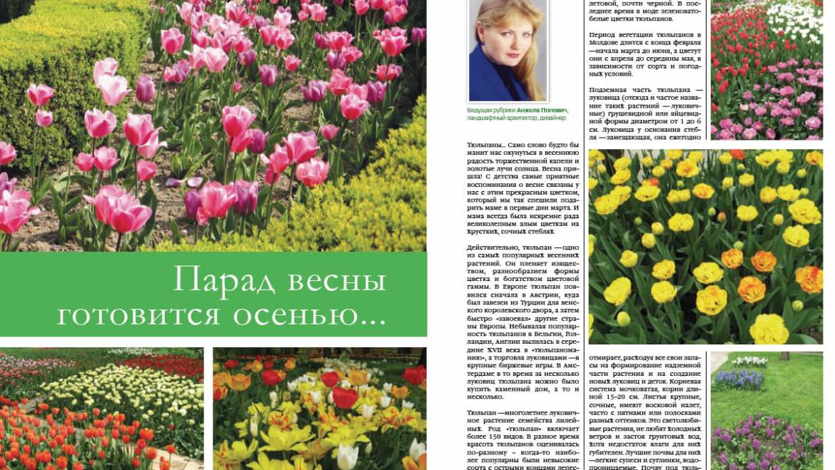 Парад весны готовится осенью